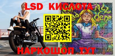 мдпв Донской